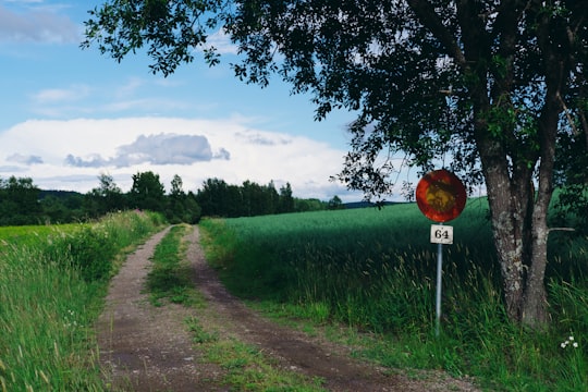 red and white stop sign near green grass field during daytime in Orivesi Finland