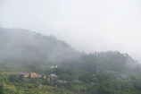 Mist rising over green hills dotted with colorful houses in the coffee region.