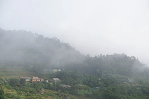 Mist rising over green hills dotted with colorful houses in the coffee region.