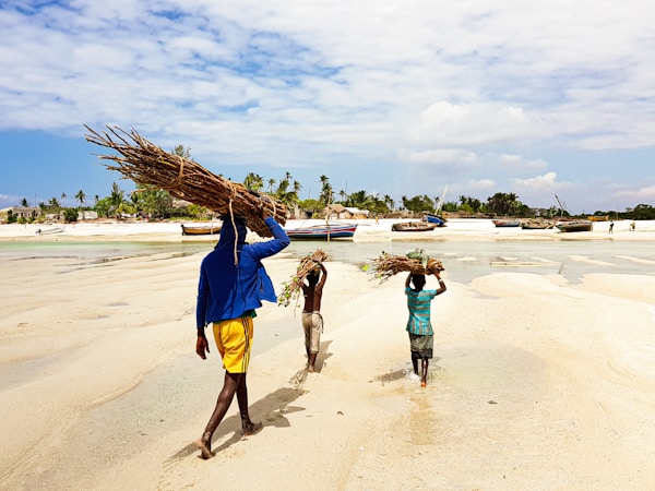 What to See in Mozambique: A Complete Travel Guide