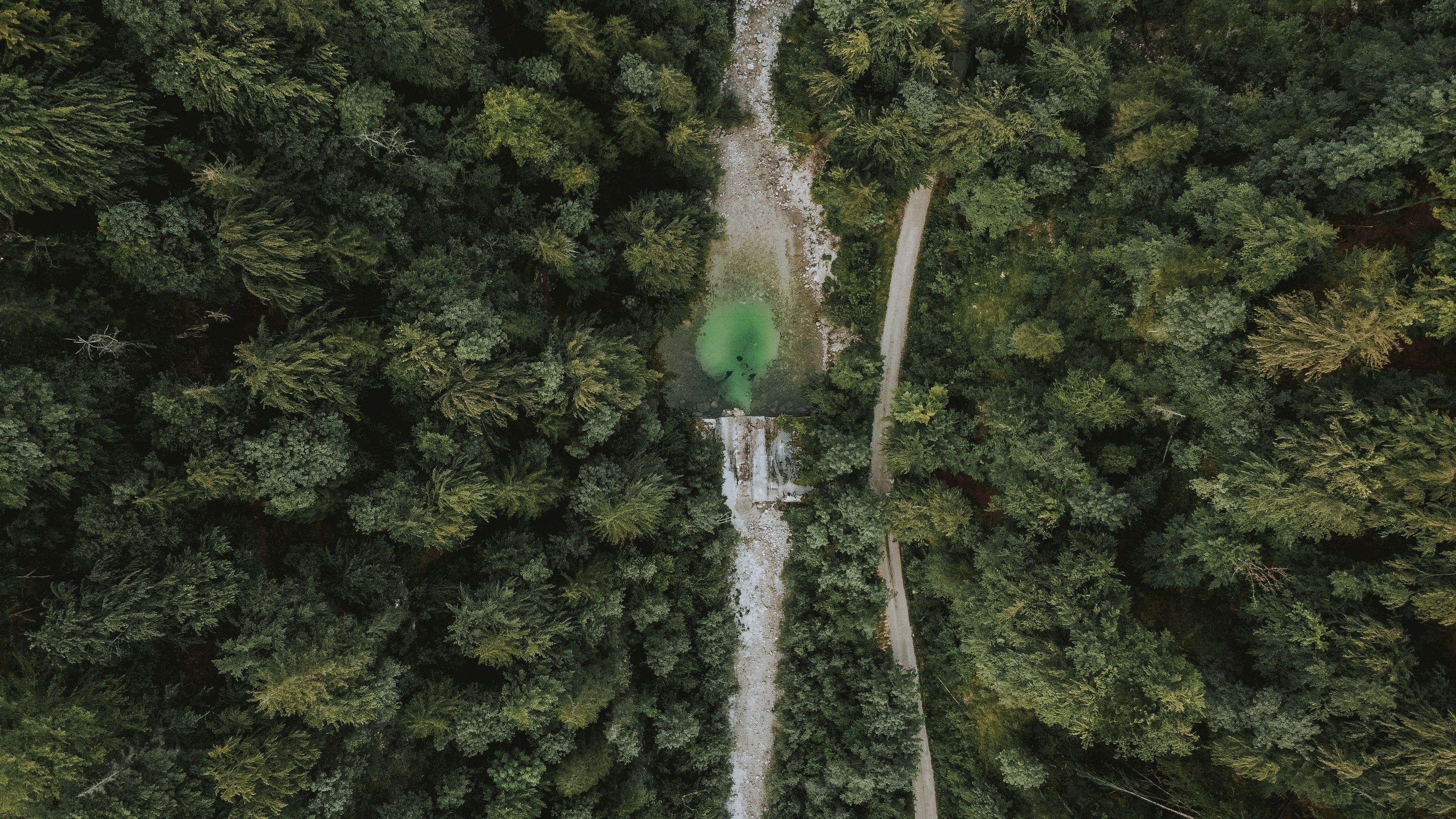 Bitzer Park
