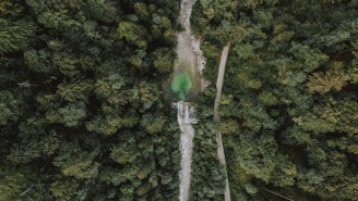 Aerial view of a forested land with a small creek running through.