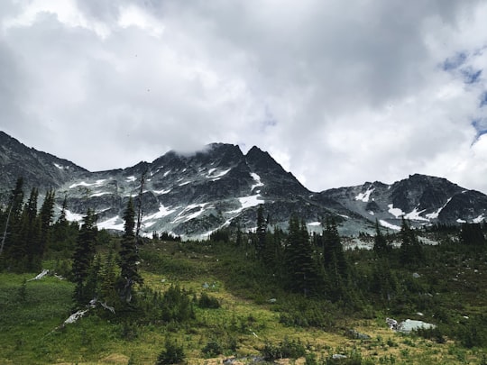 green trees near snow covered mountain during daytime in Whistler Mountain Canada