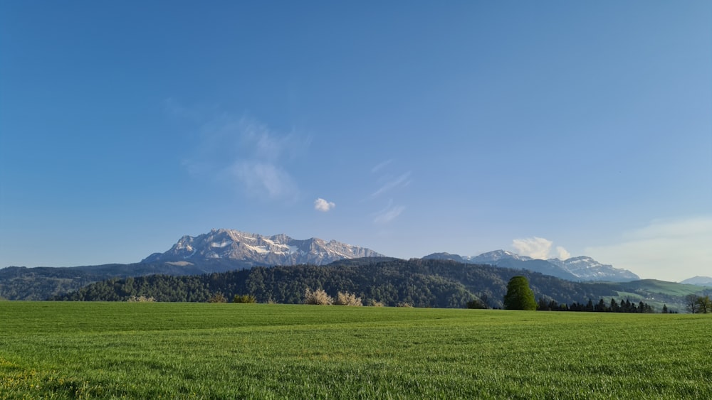 green grass field near mountain under blue sky during daytime