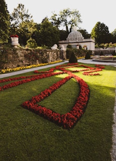 A well-manicured garden with vibrant red flower beds arranged in a symmetrical pattern on lush green grass. In the background, a classical structure with a domed roof is partially visible, surrounded by trees and a stone wall adorned with yellow flowers.