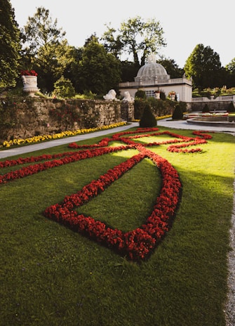 A well-manicured garden with vibrant red flower beds arranged in a symmetrical pattern on lush green grass. In the background, a classical structure with a domed roof is partially visible, surrounded by trees and a stone wall adorned with yellow flowers.