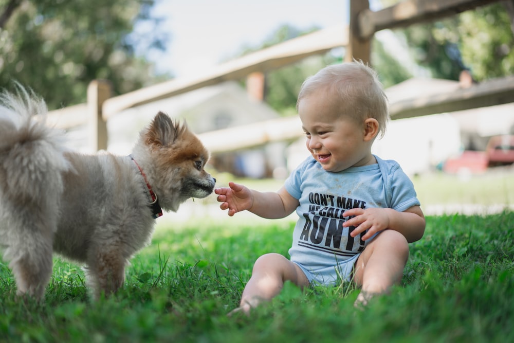 boy in black and white stripe shirt sitting on green grass field beside brown pomeranian puppy