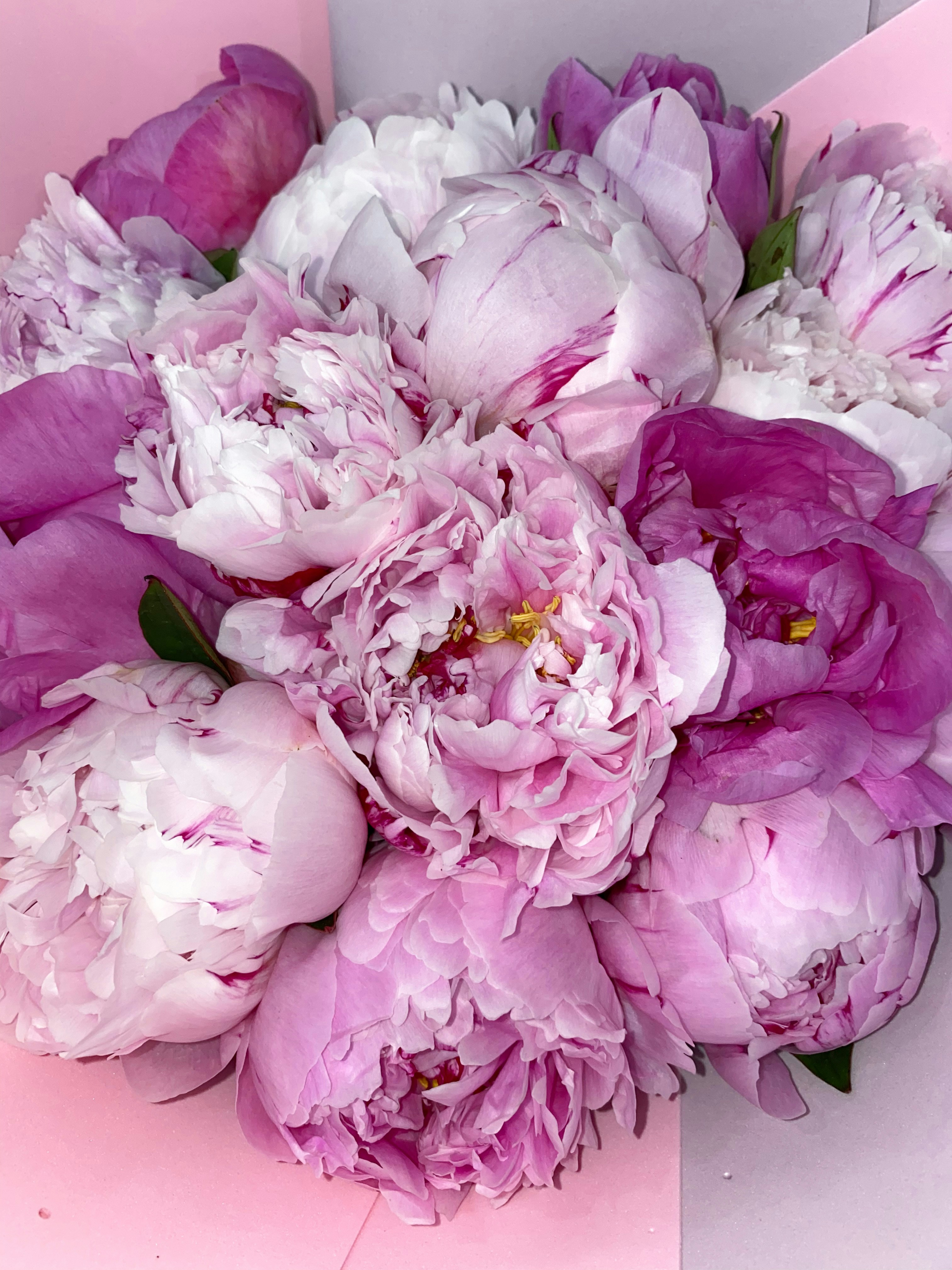 Lush mixed flower arrangement with peonies and roses in bright airy studio, light pink and white tones