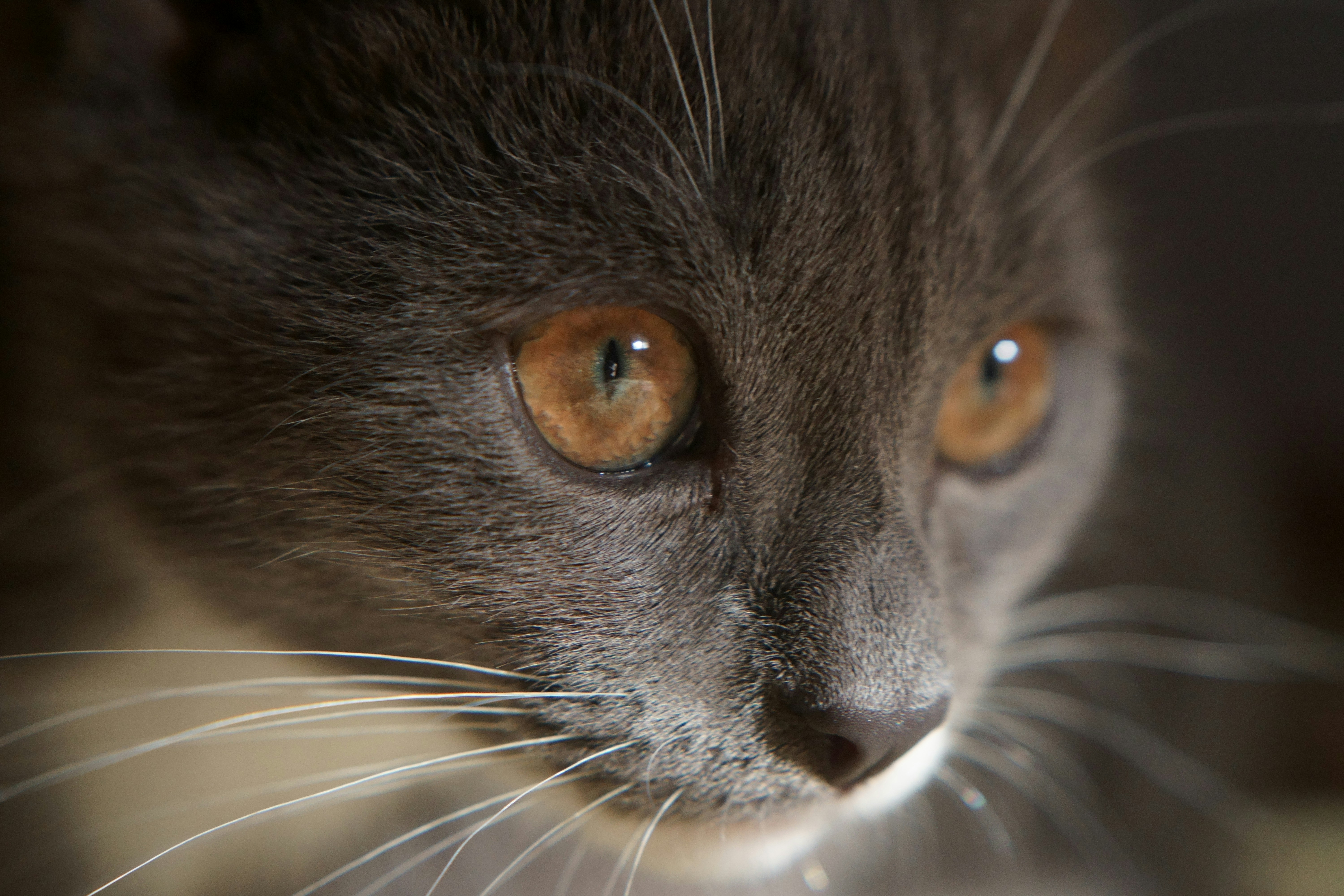 Photo by ivan_bolshakov