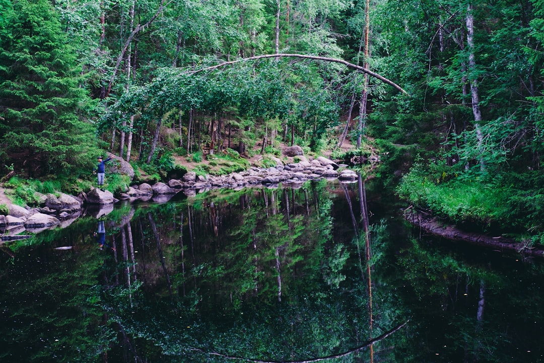 Forest photo spot Multia Saarijärvi