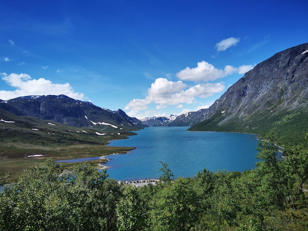 green trees near lake under blue sky during daytime