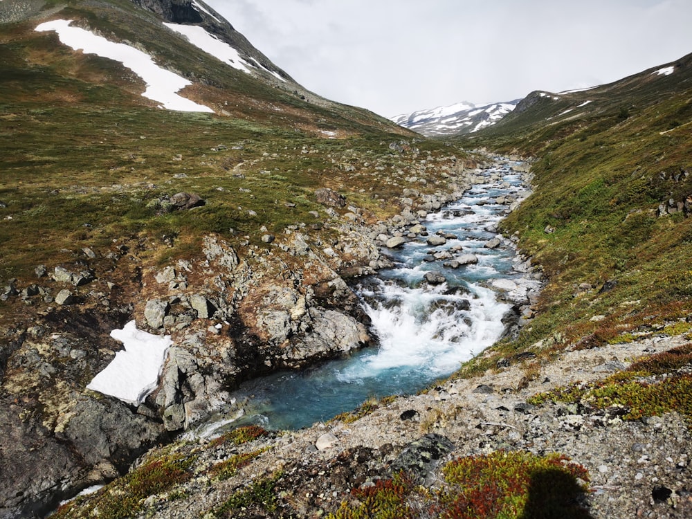 river in the middle of green grass covered hill