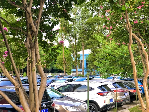 A well-lit private parking lot with covered and open spaces surrounded by greenery.
