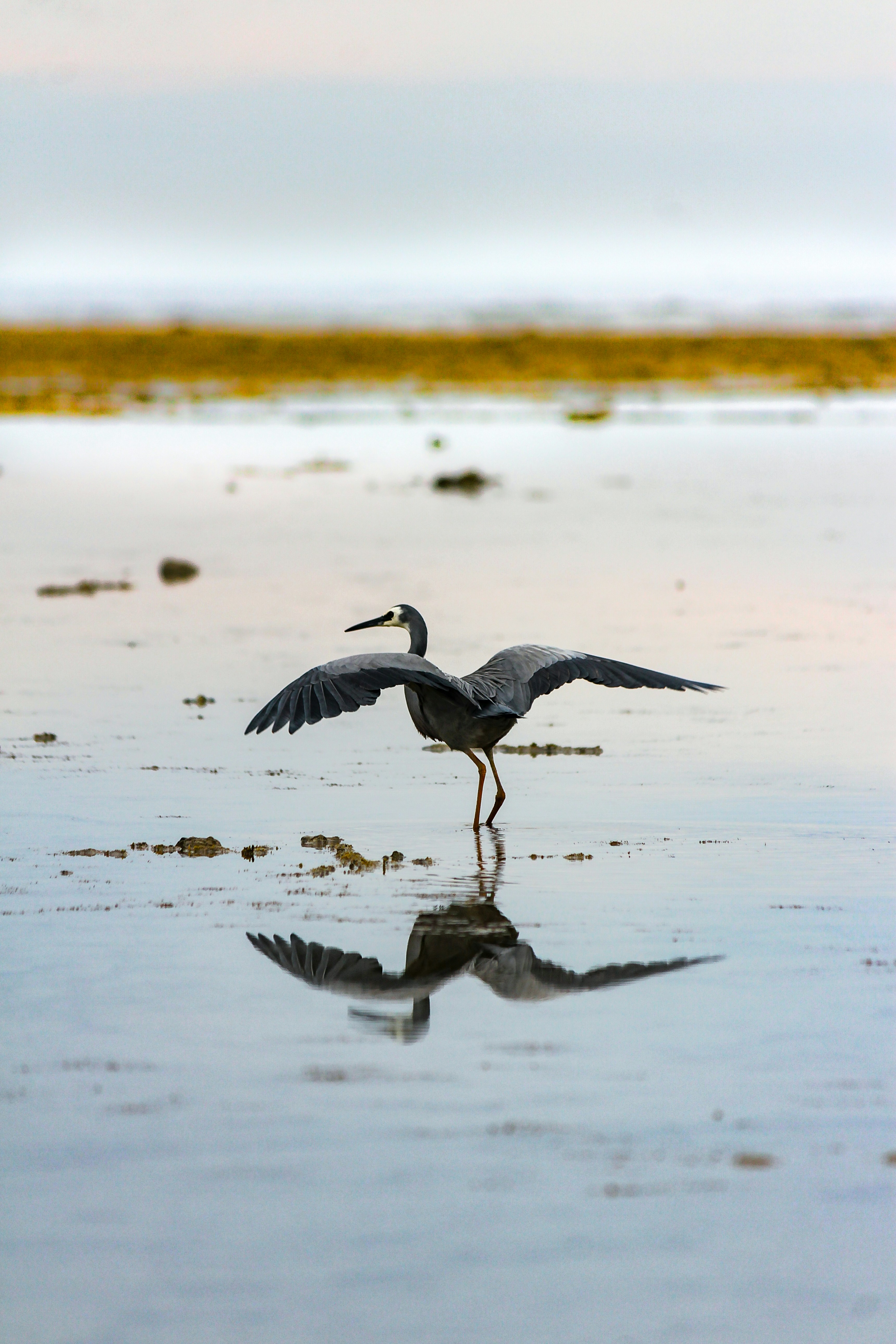 Photo by scottkelley