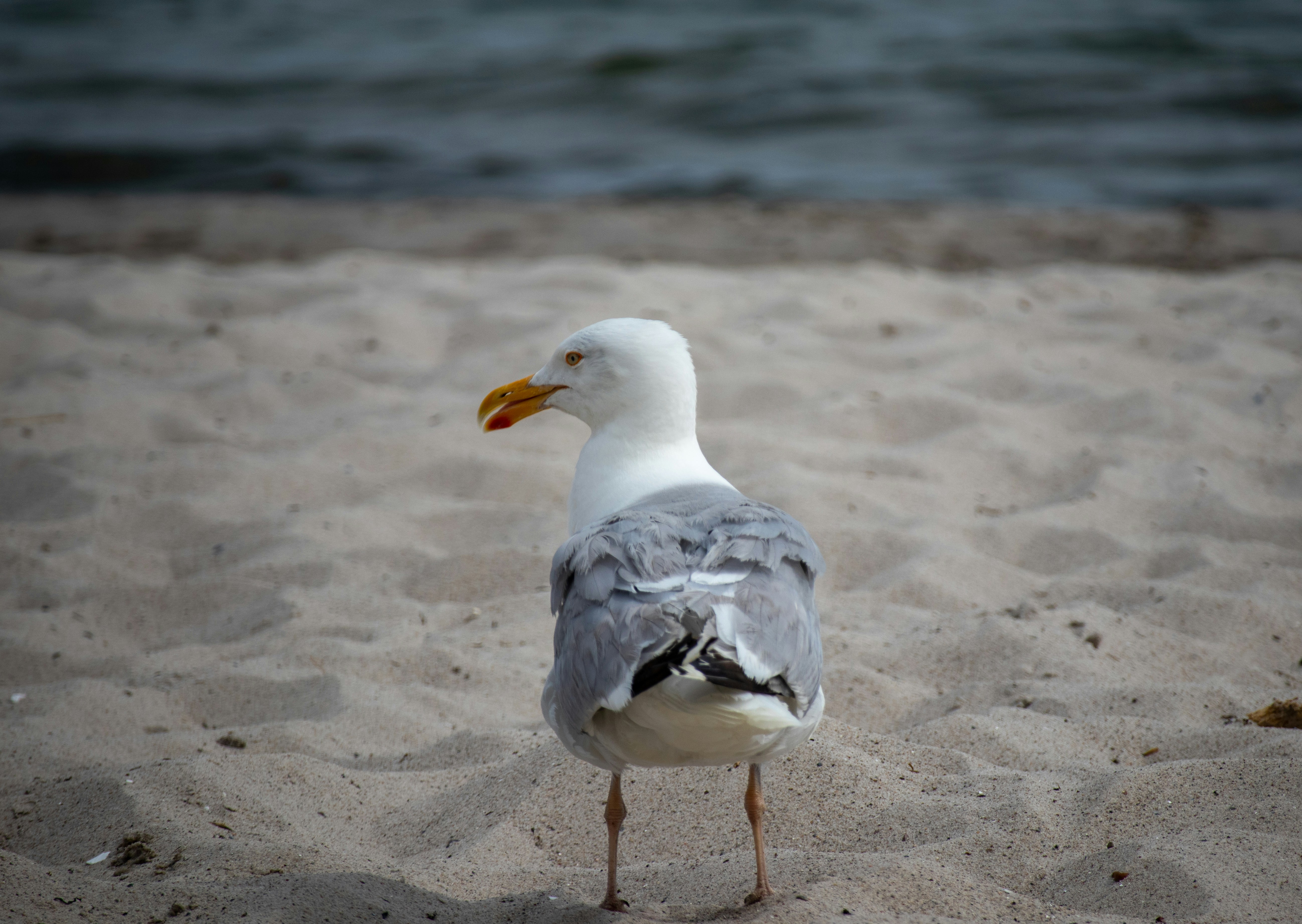 Photo by einfachlaurenz