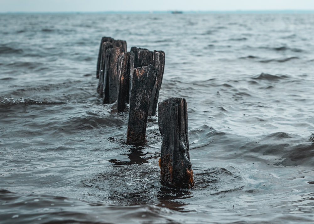 brown wood log on sea water during daytime