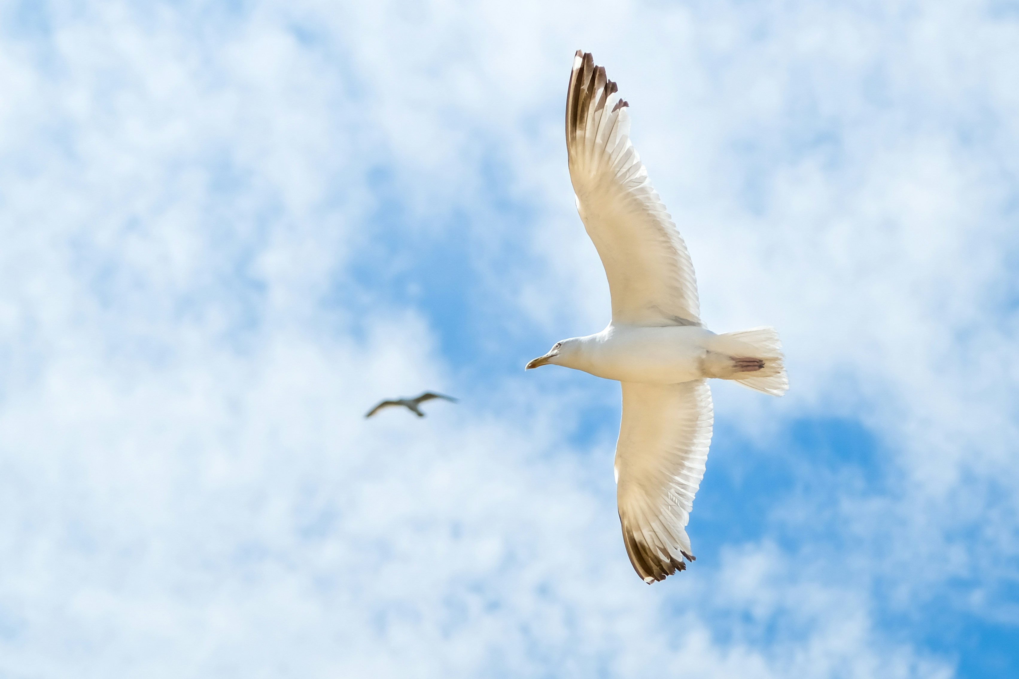 Photo by _twistedplot