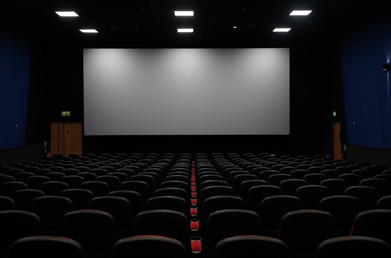 The audience at a previous Long Room screening