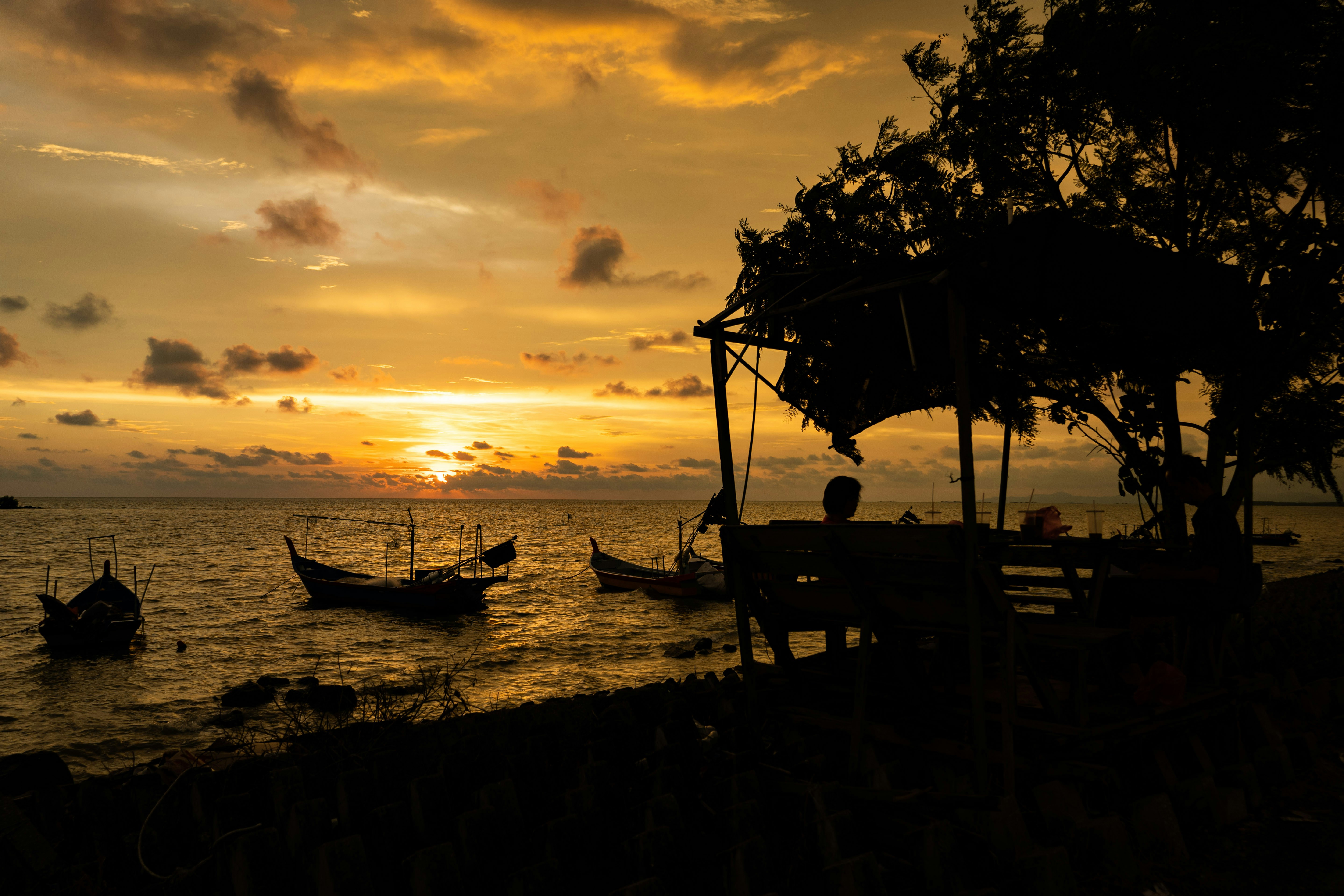 Photo by ngjiesuang94