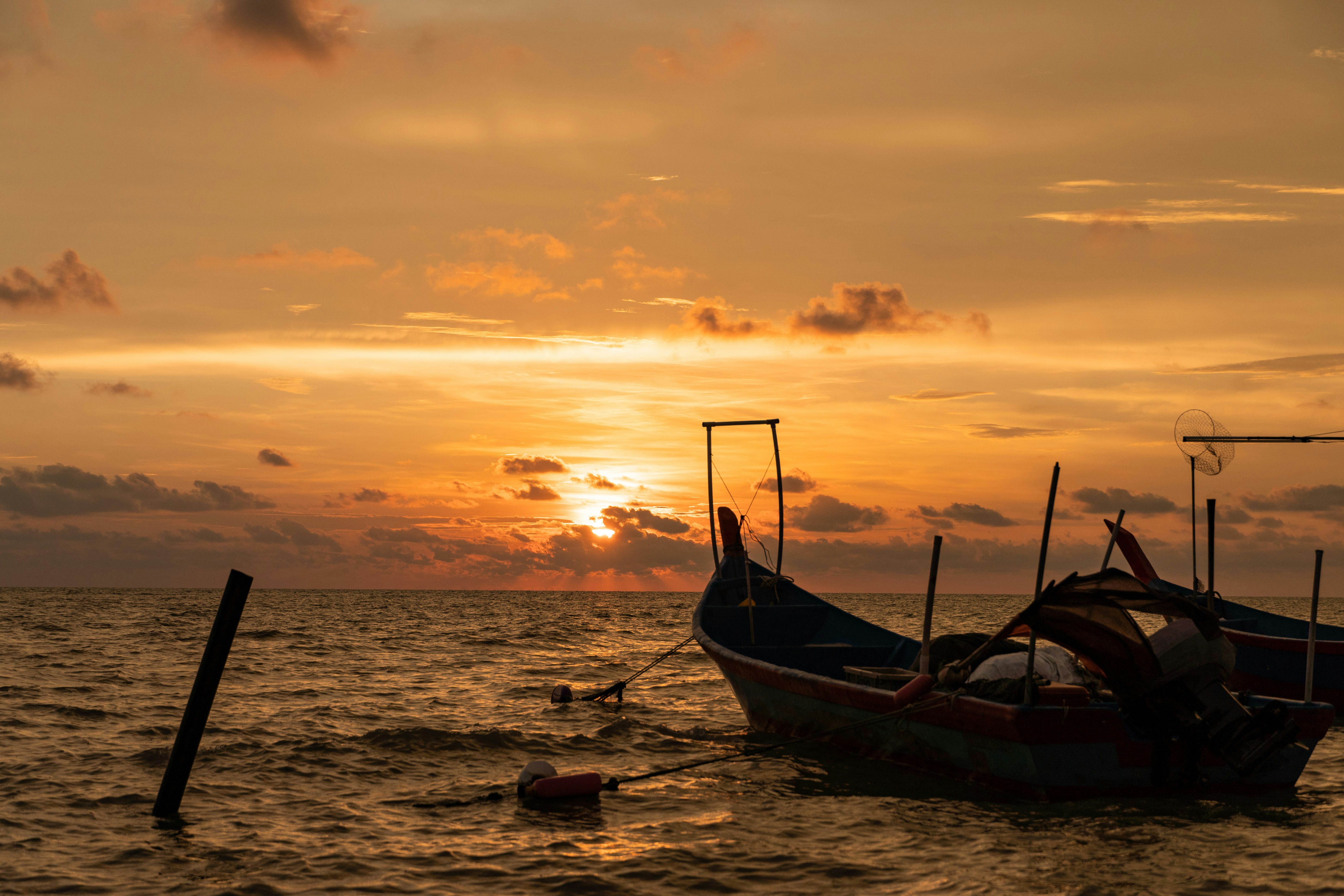 Photo by ngjiesuang94