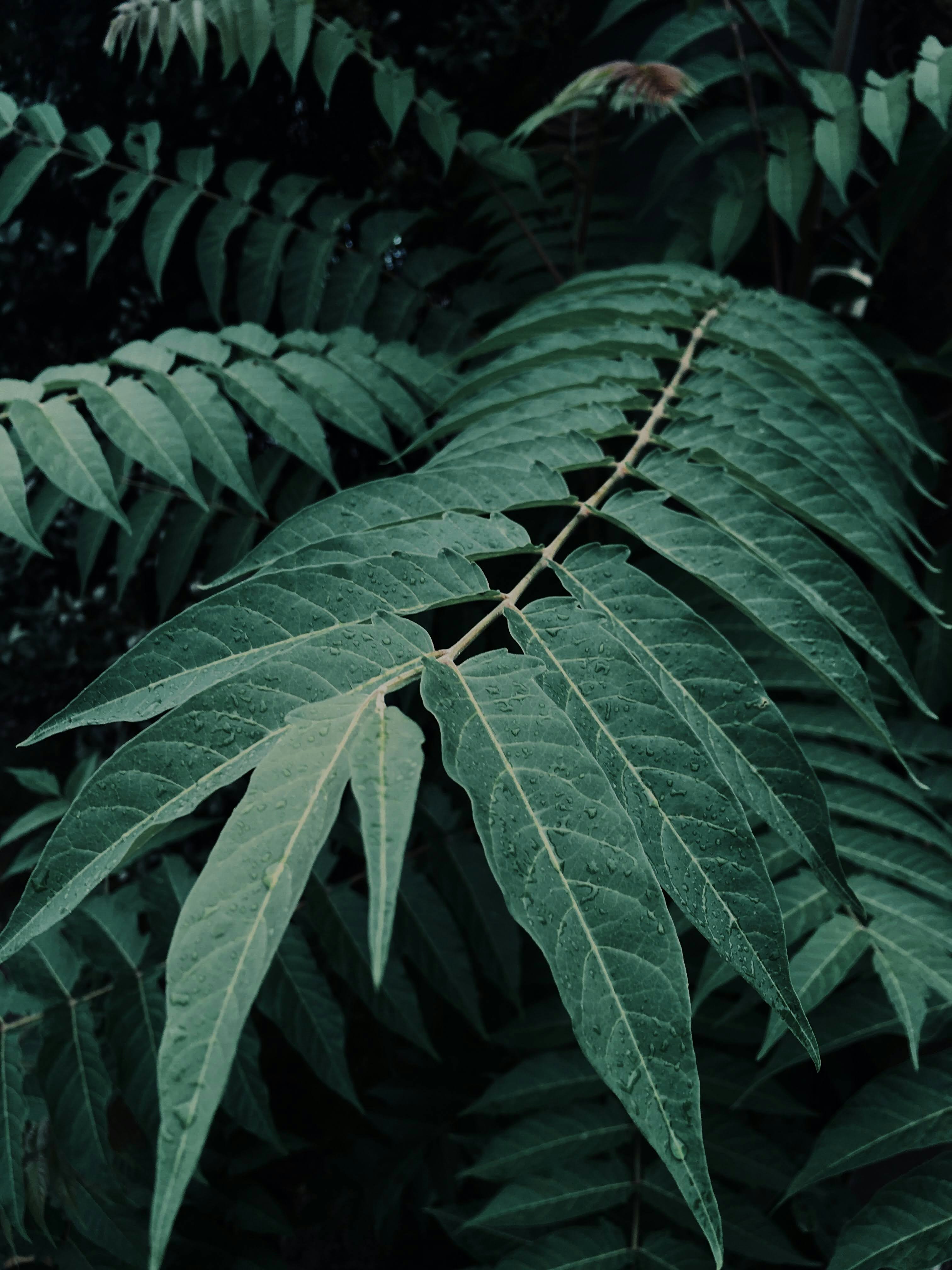 Photo by corina_scurtu