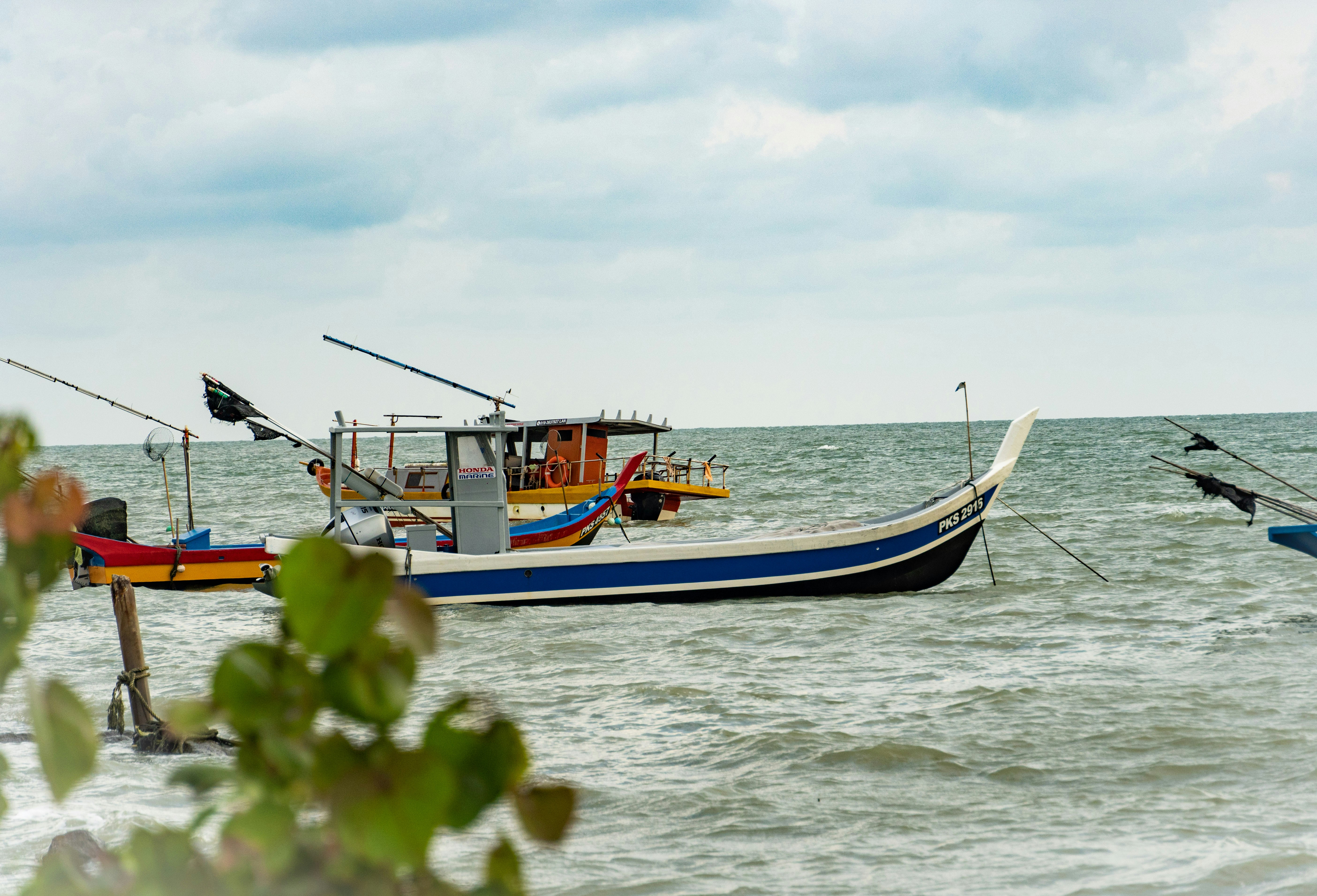 Photo by ngjiesuang94