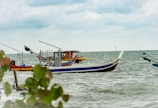 Several fishing boats are anchored in a calm sea near the shore, with a cloudy sky overhead. The boats are colorful, with visible fishing equipment like nets and rods. Green foliage is visible in the foreground.