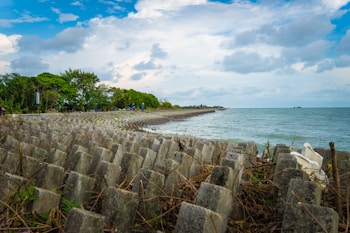 A scenic coastal view with a cloudy sky above, showing a concrete embankment with geometric structures for erosion control. The shoreline curves gracefully towards the horizon with lush green trees lining the promenade. The ocean is a calm blue-green, meeting the sky at a distant horizon.