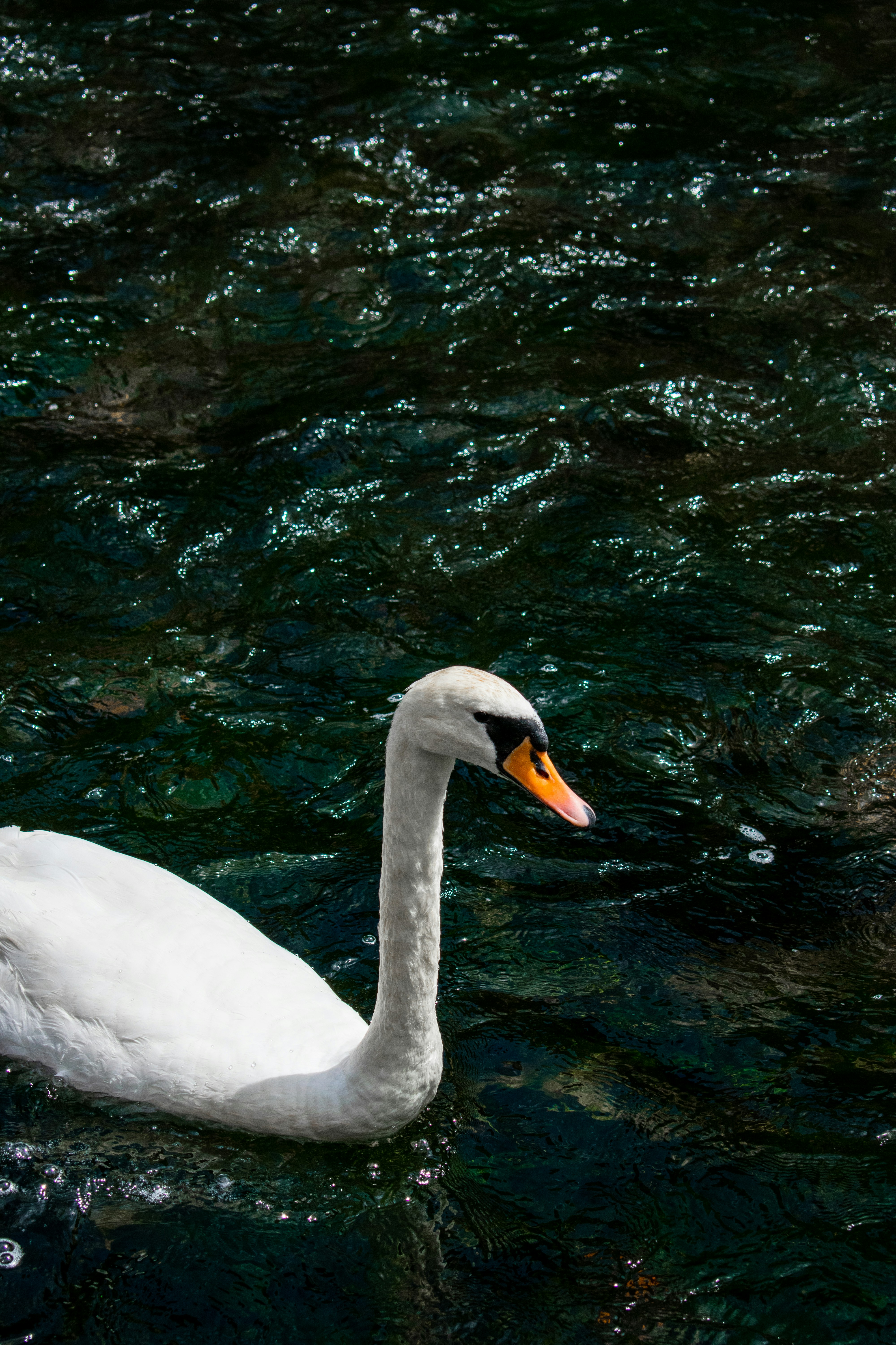 Photo by itsrobcoates