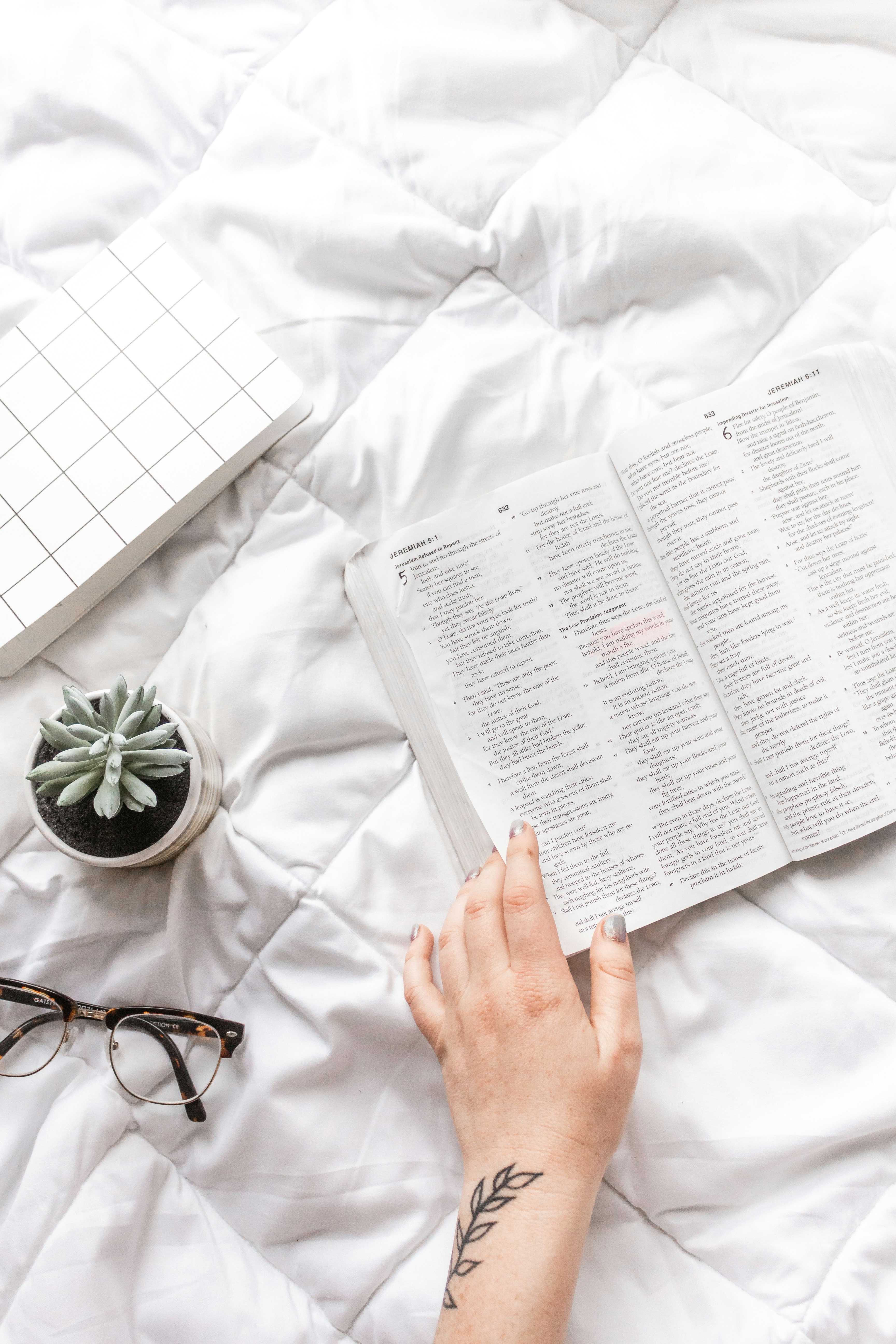 Light and Shadow: The Drama of Illumination