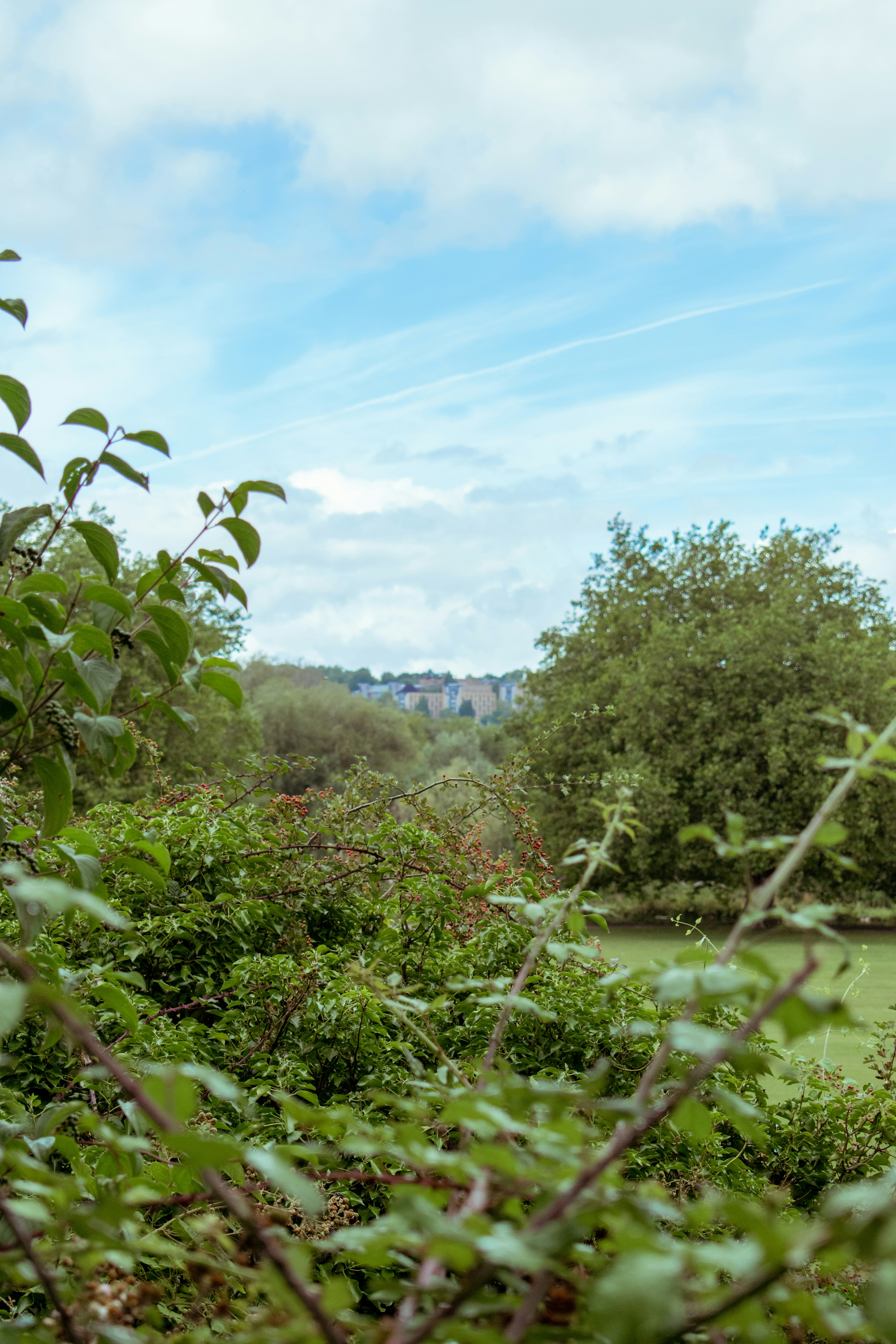 Photo by itsrobcoates