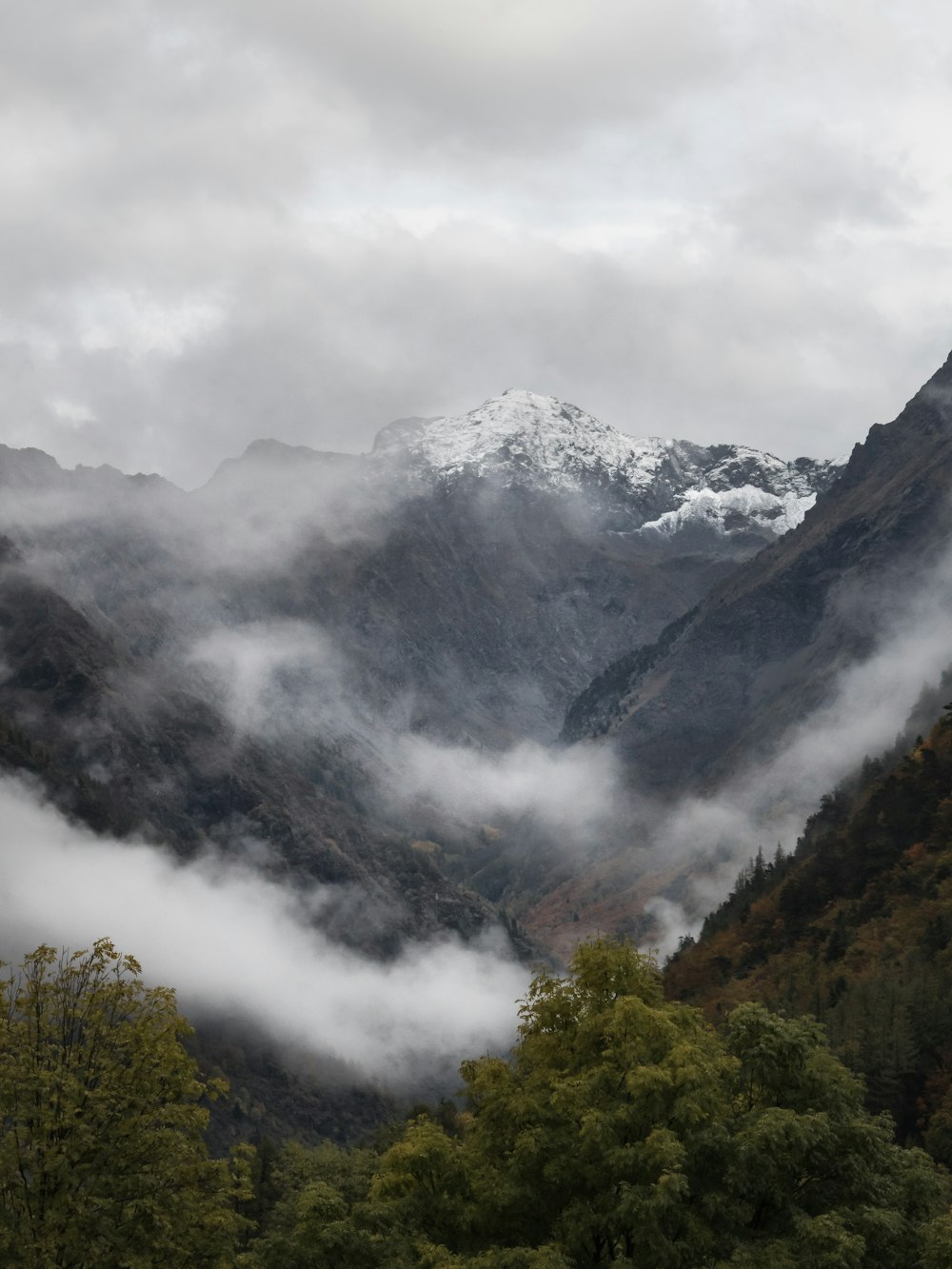 árboles verdes en la montaña bajo nubes blancas durante el día