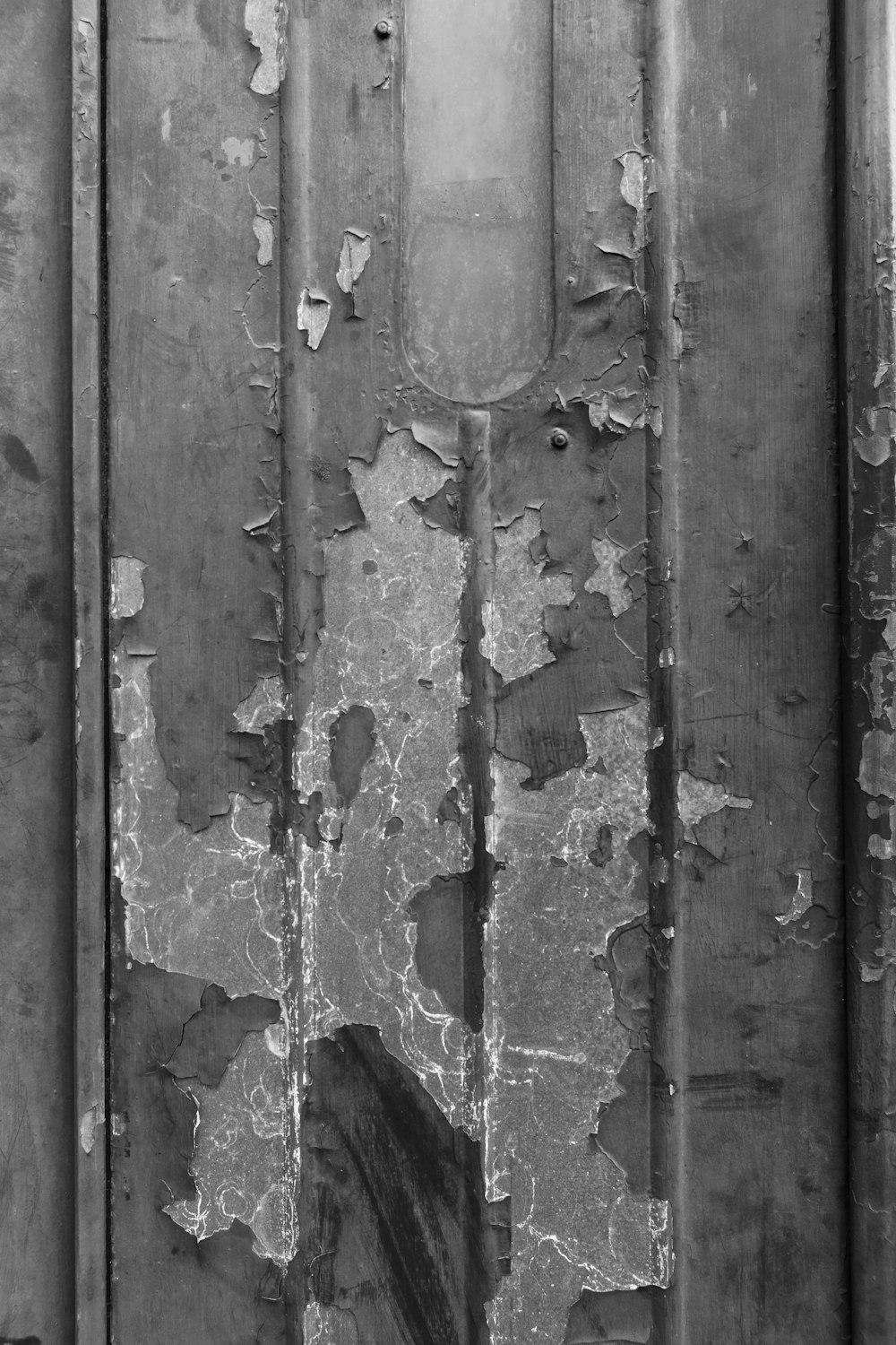 grayscale photo of wooden door