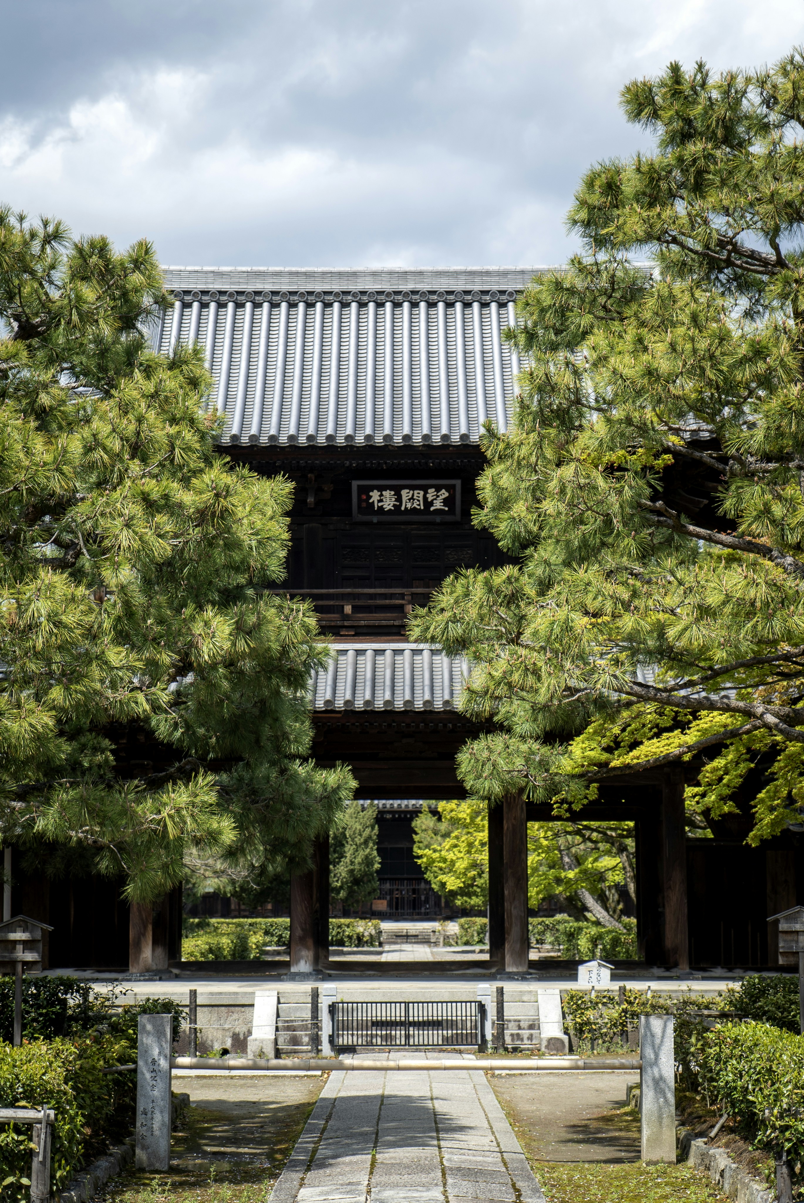 Photo by davidemrich