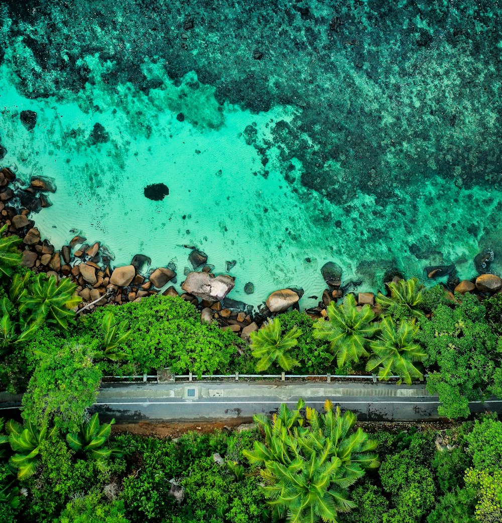 aerial view of people on beach during daytime