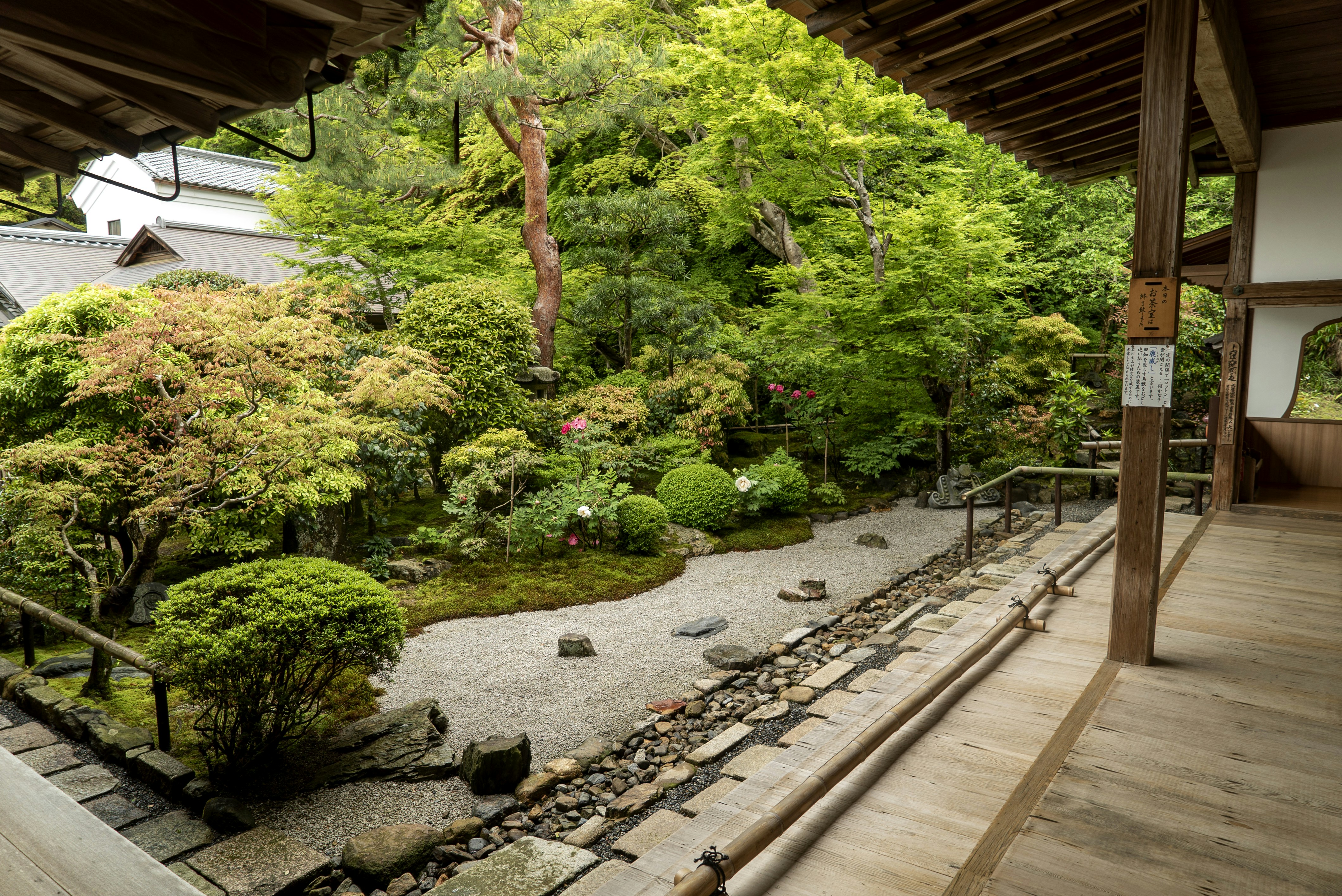 Eco-friendly modern Japanese onsen in forest