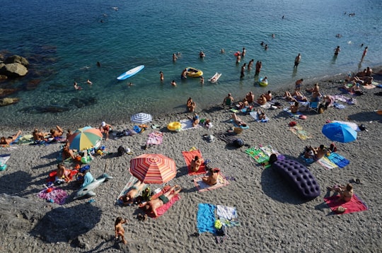 people on beach during daytime in Monterosso al Mare Italy