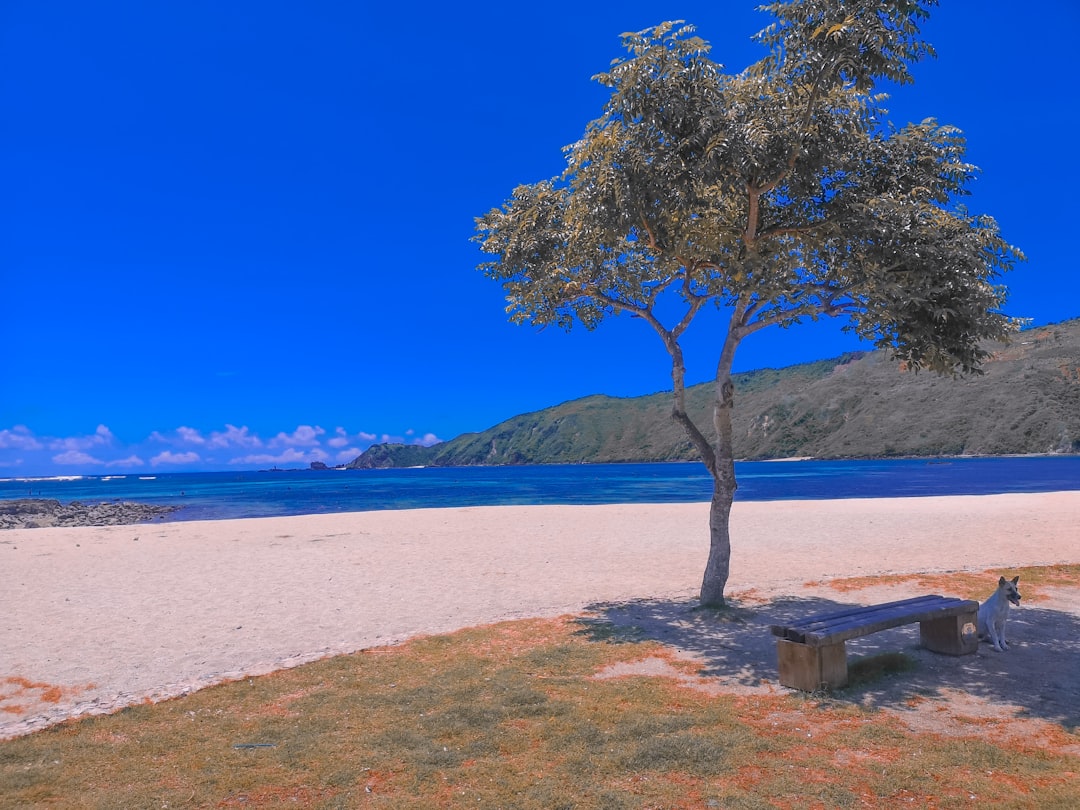 Shore photo spot Pantai Kuta Mandalika West Nusa Tenggara