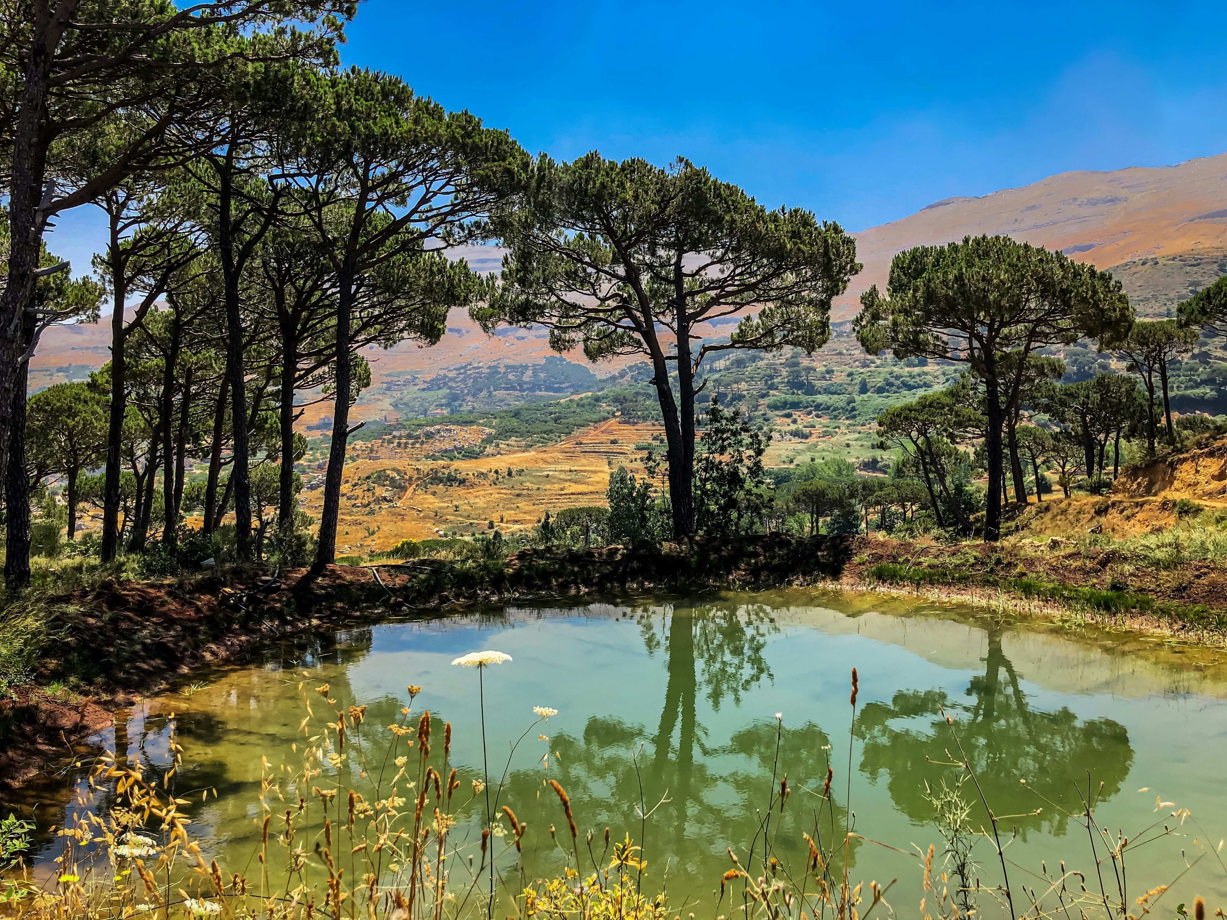 Photo by rita_saliba