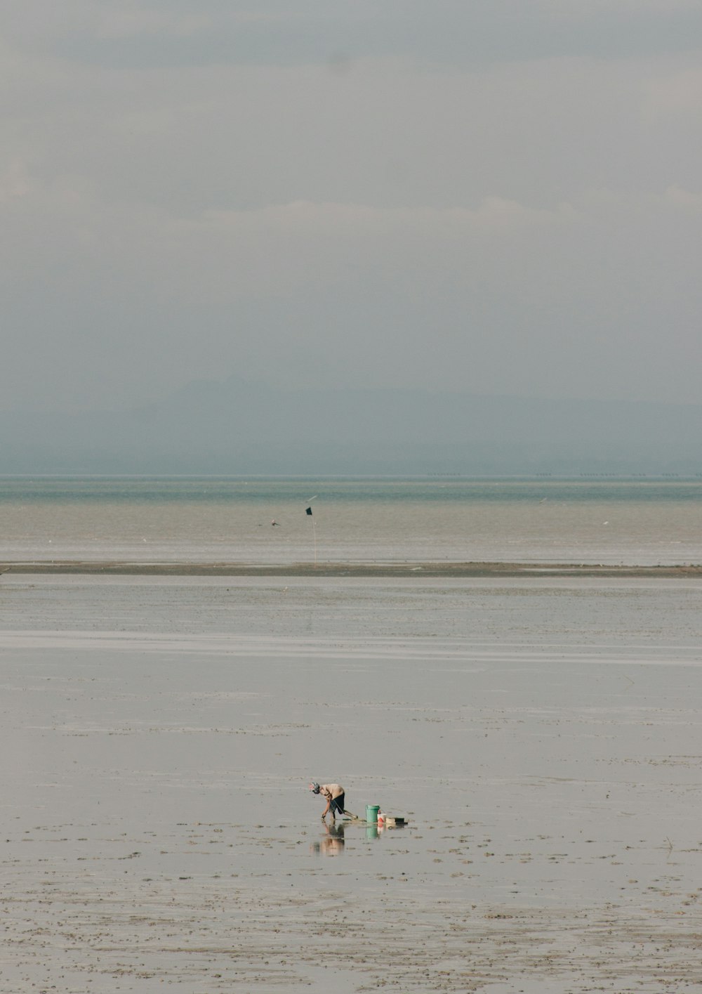 2 person walking on beach during daytime