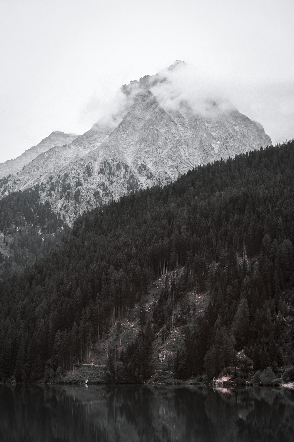 green trees on mountain under white sky during daytime