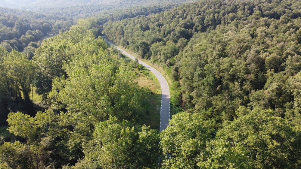 green trees on mountain during daytime