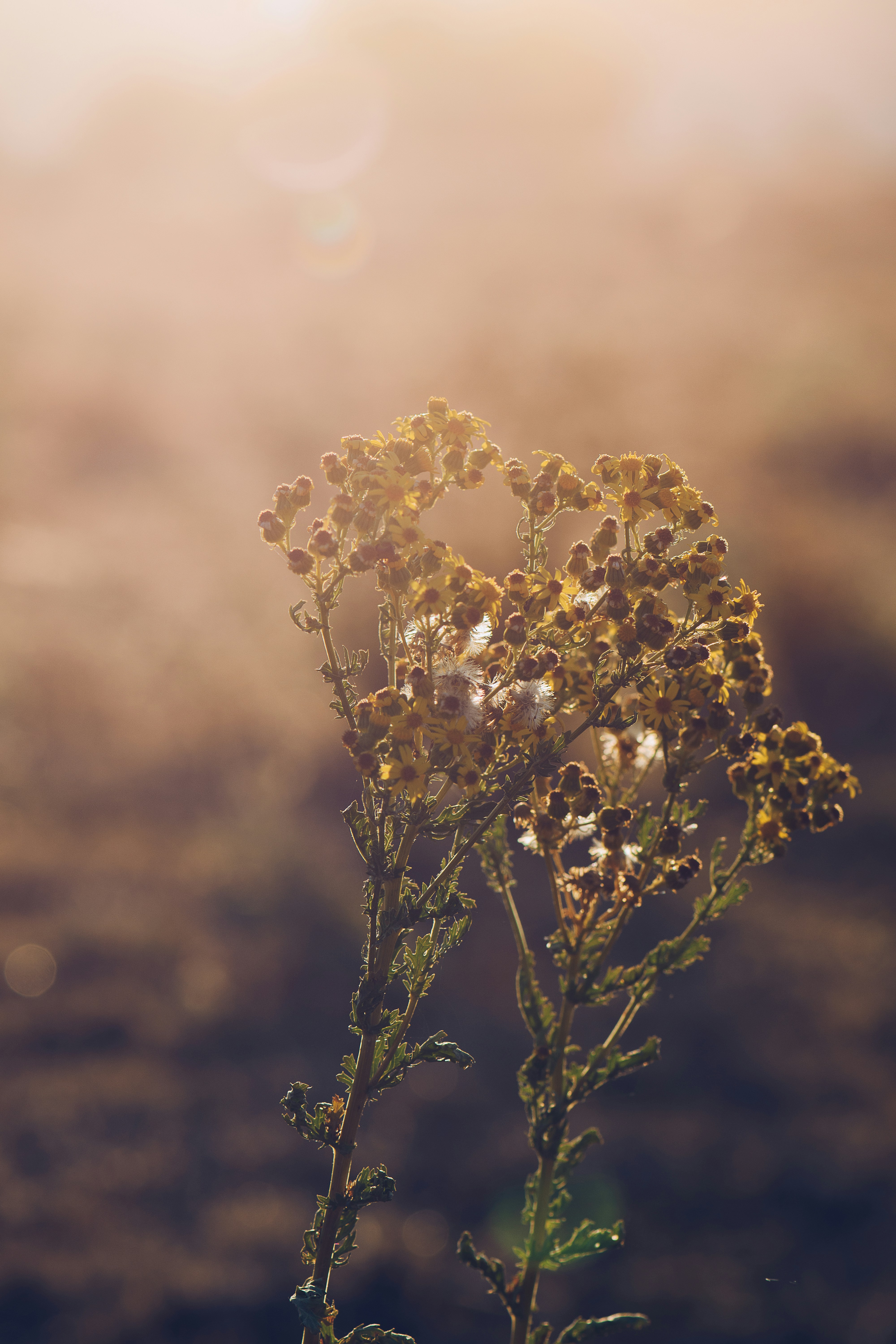 Photo by piensaenpixel