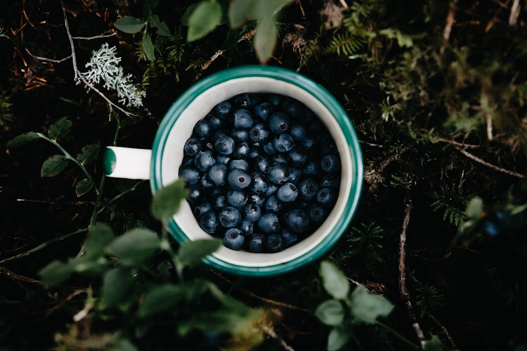 black berries in blue and white ceramic bowl