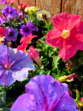 A vibrant jigsaw puzzle featuring a blooming forest with colorful flowers and birds.