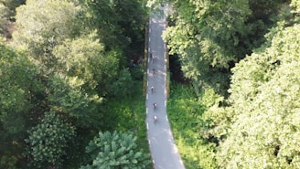 A scenic bike path surrounded by greenery with cyclists enjoying the ride.