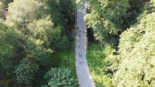 A scenic bike path surrounded by greenery with cyclists enjoying the ride.