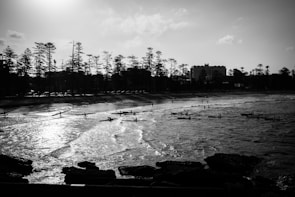 A family kayaking near a lush shoreline with tall pine trees under a bright blue sky.