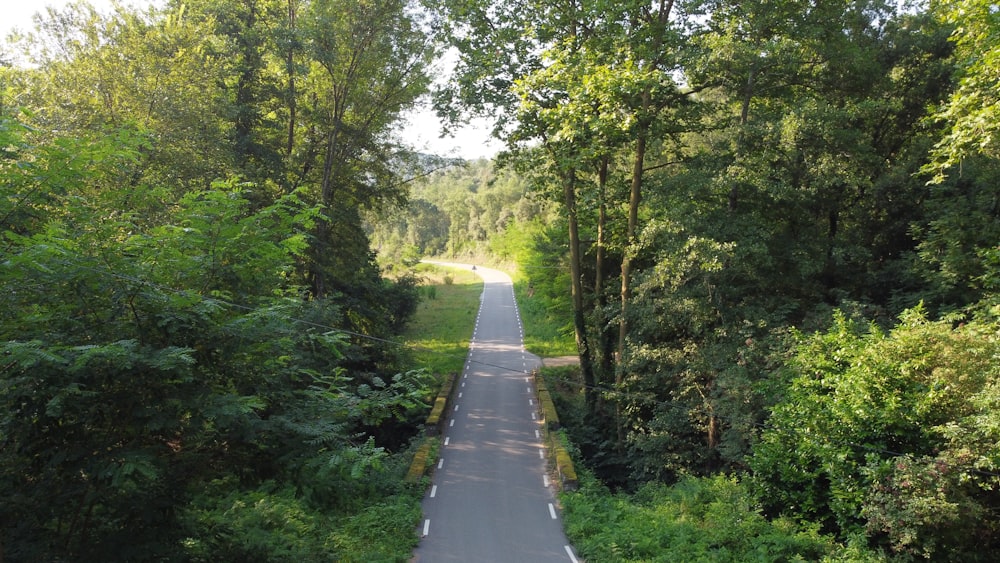 gray concrete road between green trees during daytime