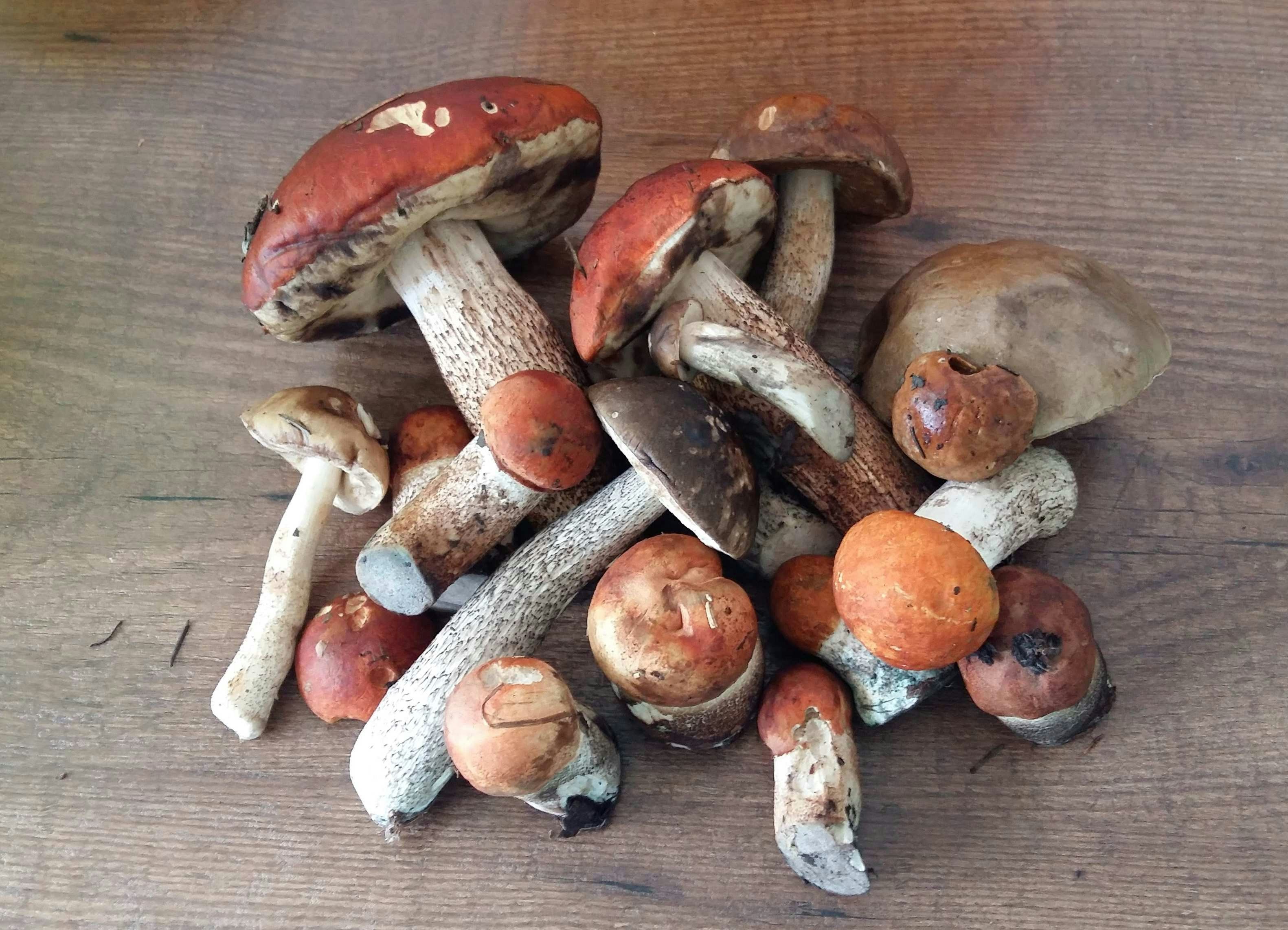 Photo by marta_volskaya